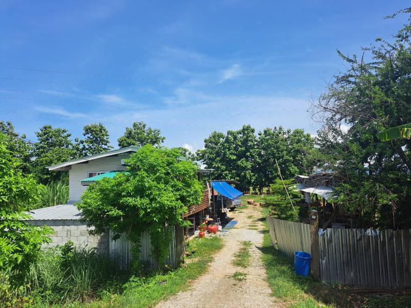 ที่ดิน 850000 แพร่ สูงเม่น ดอนมูล