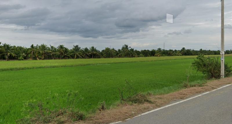 ที่ดิน 103500000 นนทบุรี ไทรน้อย ไทรใหญ่