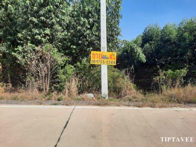 ที่ดิน 3614000 พระนครศรีอยุธยา วังน้อย ลำตาเสา
