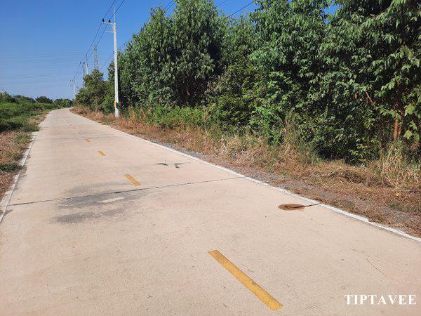 ที่ดิน 3614000 พระนครศรีอยุธยา วังน้อย ลำตาเสา