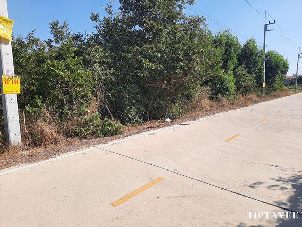 ที่ดิน 3614000 พระนครศรีอยุธยา วังน้อย ลำตาเสา