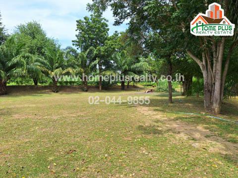 ที่ดิน 4850000 ประจวบคีรีขันธ์ หัวหิน หนองแก