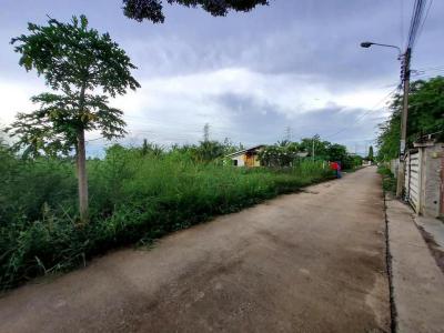 ที่ดิน 4213000 นนทบุรี ไทรน้อย ไทรน้อย