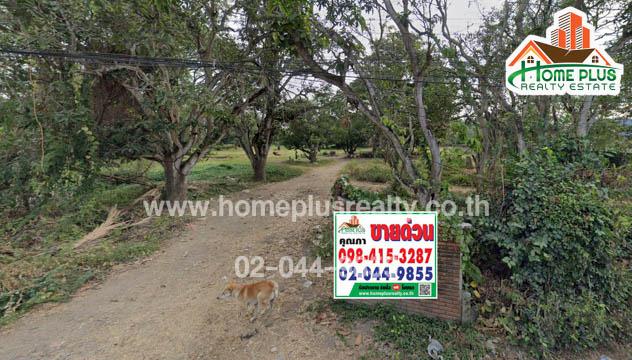ที่ดิน 10337400 เชียงใหม่ สันกำแพง แช่ช้าง