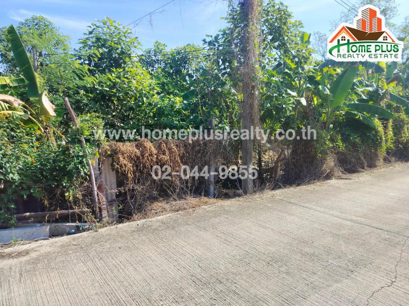 ที่ดิน 62000000 ปทุมธานี ลาดหลุมแก้ว บ่อเงิน
