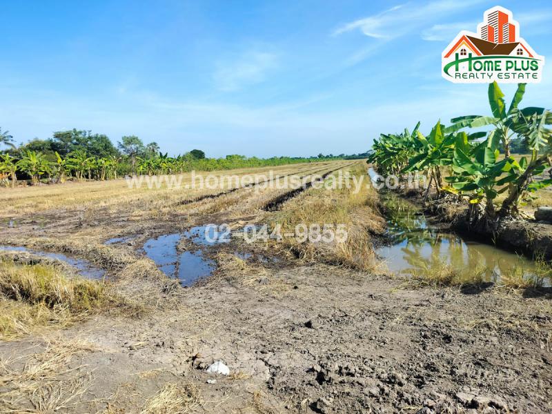 ที่ดิน 62000000 ปทุมธานี ลาดหลุมแก้ว บ่อเงิน