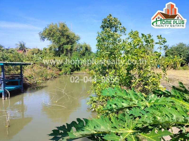 ที่ดิน 62000000 ปทุมธานี ลาดหลุมแก้ว บ่อเงิน