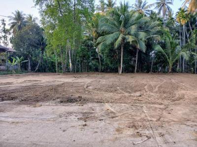ที่ดิน 750000 เพชรบูรณ์ หล่มสัก บ้านติ้ว