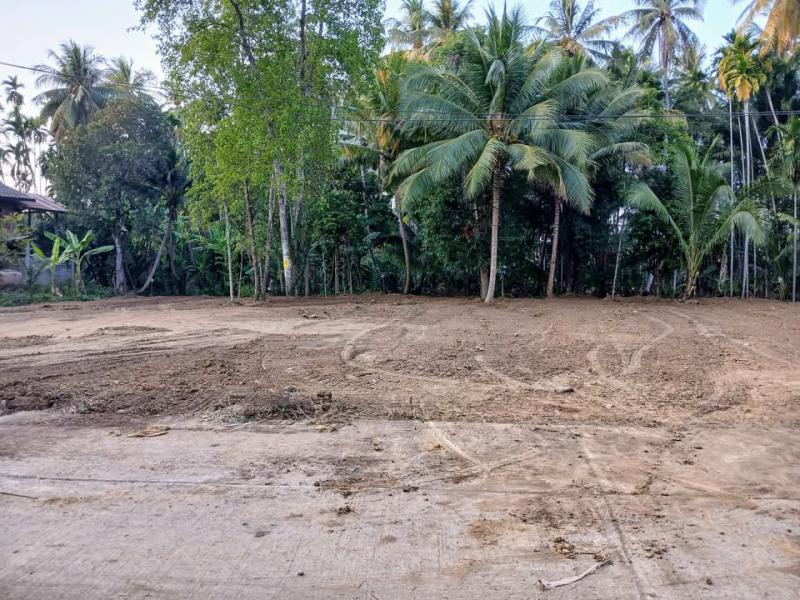 ที่ดิน 750000 เพชรบูรณ์ หล่มสัก บ้านติ้ว