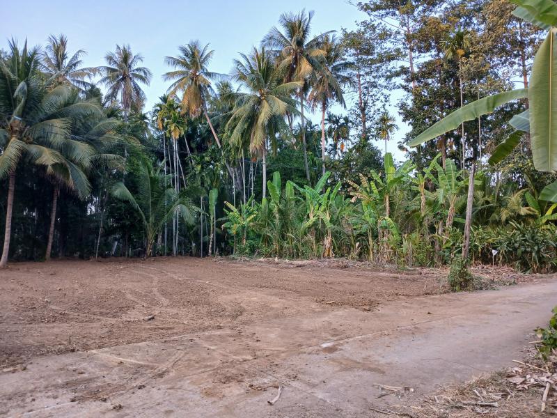 ที่ดิน 750000 เพชรบูรณ์ หล่มสัก บ้านติ้ว