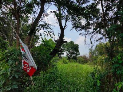 ที่ดิน 1200000 ปทุมธานี หนองเสือ หนองสามวัง