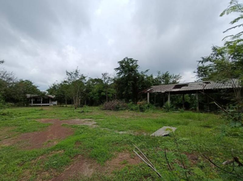 ที่ดิน 2900000 อุดรธานี เมืองอุดรธานี นาข่า