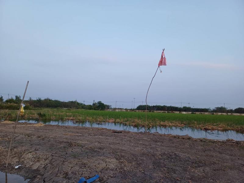 ที่ดิน 580000000 สมุทรปราการ บางพลี บางโฉลง