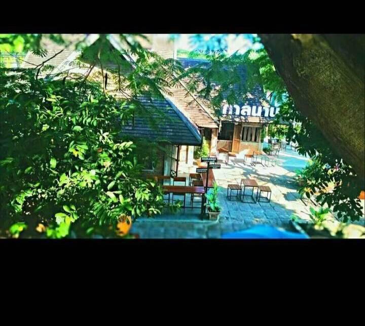 ที่ดิน 19000 เชียงใหม่ แม่ริม ดอนแก้ว