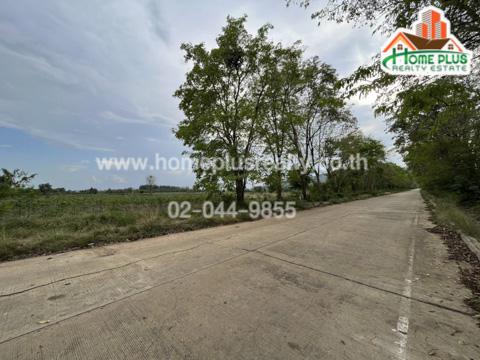 ที่ดิน 1200000 เพชรบูรณ์ วิเชียรบุรี สระประดู่