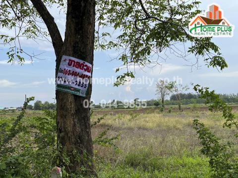 ที่ดิน 1200000 เพชรบูรณ์ วิเชียรบุรี สระประดู่