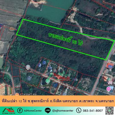 ที่ดิน 13200000 นครนายก เมืองนครนายก เขาพระ