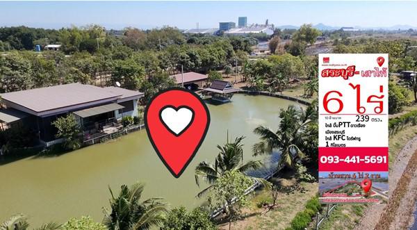 ที่ดิน 10000000 สระบุรี เสาไห้ ต้นตาล