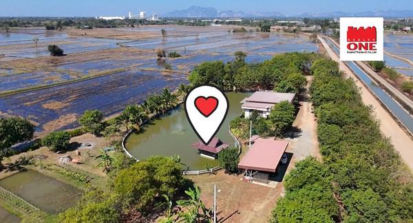 ที่ดิน 10000000 สระบุรี เสาไห้ ต้นตาล