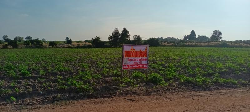ที่ดิน 150000 พิษณุโลก วัดโบสถ์ หินลาด
