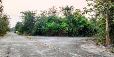 ที่ดิน 2040000 เชียงใหม่ สันกำแพง บวกค้าง
