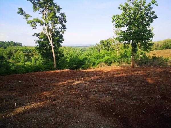ที่ดิน 1600000 กาญจนบุรี ทองผาภูมิ ท่าขนุน
