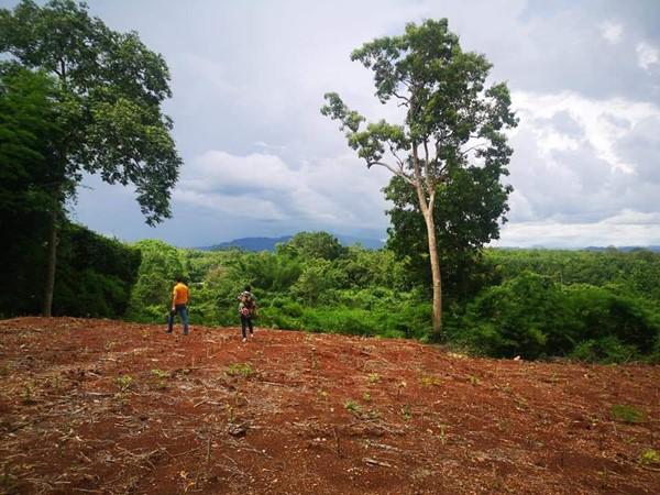 ที่ดิน 1600000 กาญจนบุรี ทองผาภูมิ ท่าขนุน