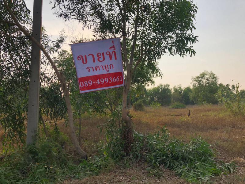 ที่ดิน 2000000 ฉะเชิงเทรา บางคล้า บางคล้า
