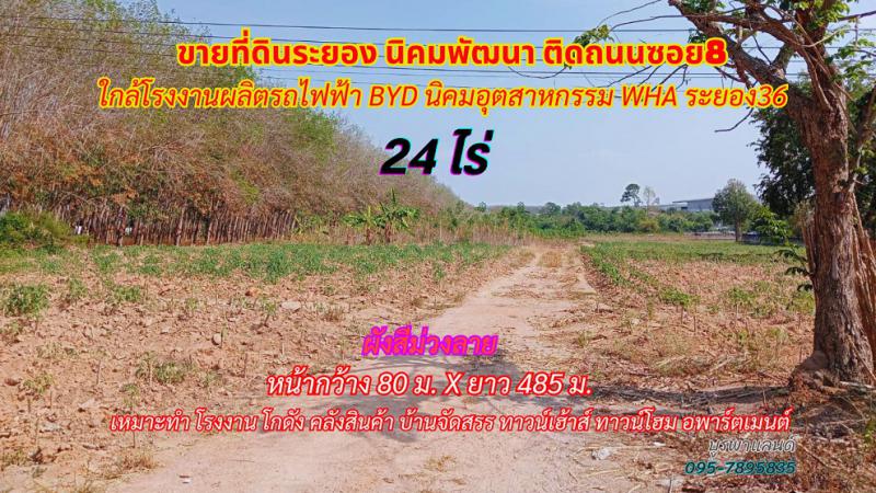 ที่ดิน 2500000 ระยอง กิ่งอำเภอนิคมพัฒนา มาบข่า