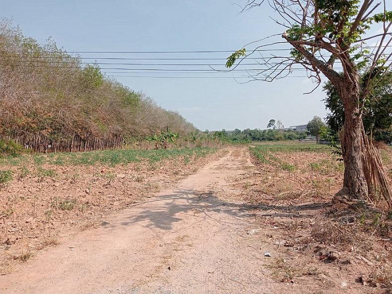 ที่ดิน 2500000 ระยอง กิ่งอำเภอนิคมพัฒนา มาบข่า