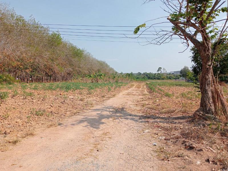 ที่ดิน 2500000 ระยอง กิ่งอำเภอนิคมพัฒนา มาบข่า