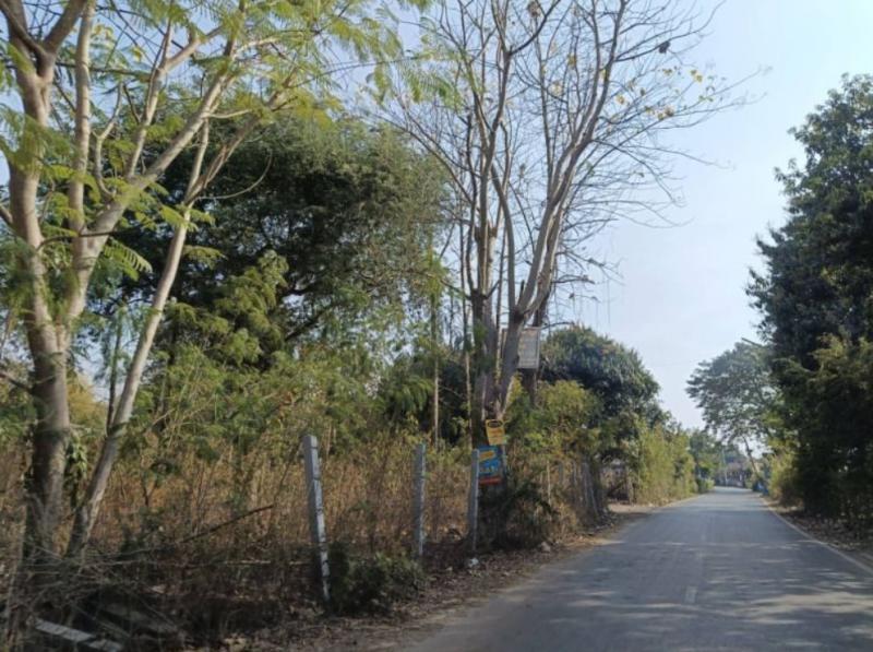ที่ดิน 89000 อุดรธานี เมืองอุดรธานี หนองนาคำ