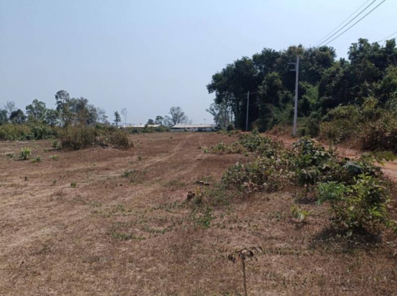 ที่ดิน 890000 หนองคาย เมืองหนองคาย ในเมือง