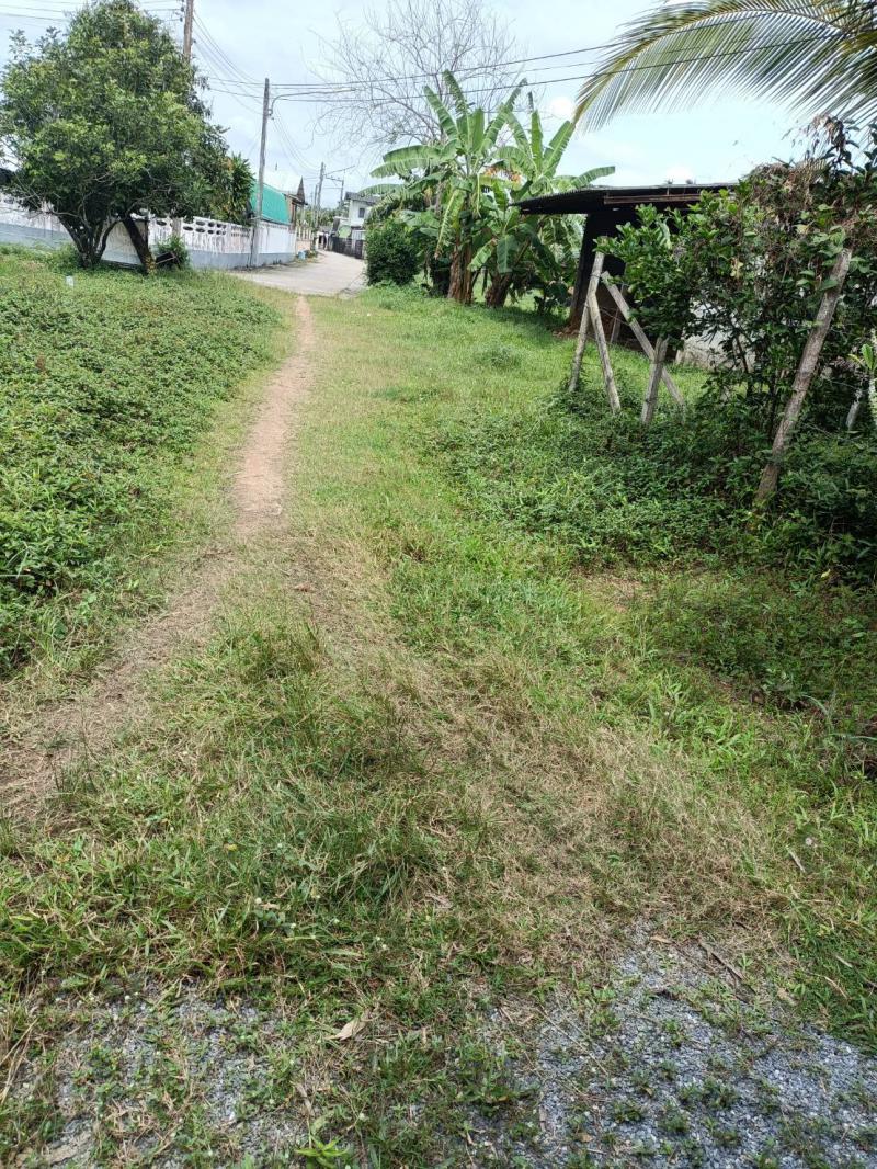 ที่ดิน 250000 สงขลา หาดใหญ่ บ้านพรุ