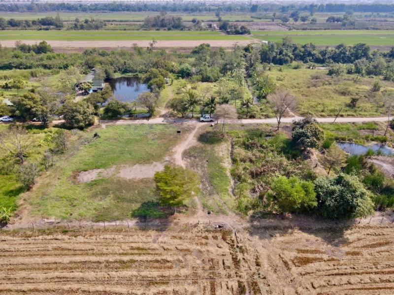 ที่ดิน 4200000 ปทุมธานี ธัญบุรี บึงน้ำรักษ์