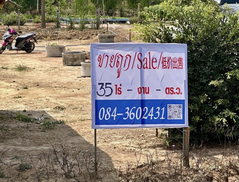 ไร่นา 10000000 สุพรรณบุรี ดอนเจดีย์ ทะเลบก