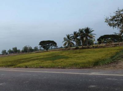 ที่ดิน 1500000 หนองคาย ท่าบ่อ บ้านว่าน