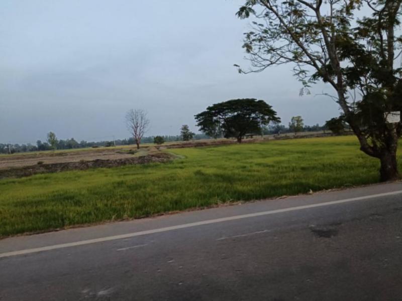 ที่ดิน 1500000 หนองคาย ท่าบ่อ บ้านว่าน