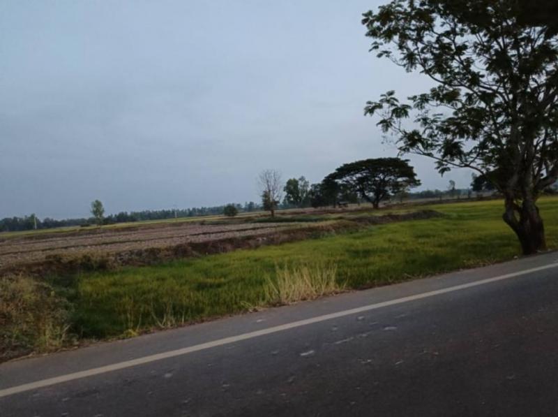 ที่ดิน 1500000 หนองคาย ท่าบ่อ บ้านว่าน