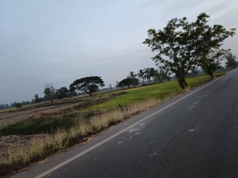 ที่ดิน 1500000 หนองคาย ท่าบ่อ บ้านว่าน
