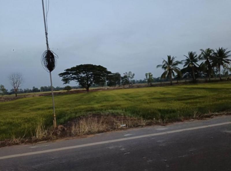 ที่ดิน 1500000 หนองคาย ท่าบ่อ บ้านว่าน