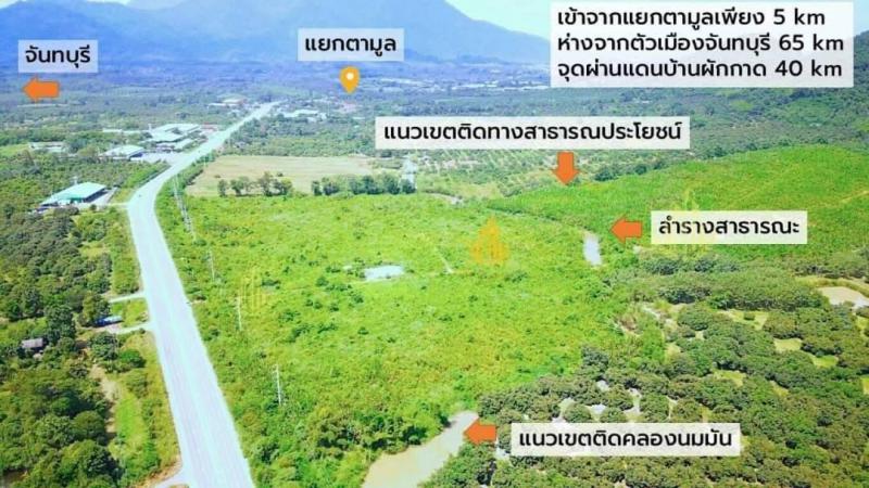 ที่ดิน 131000000 จันทบุรี สอยดาว ทรายขาว