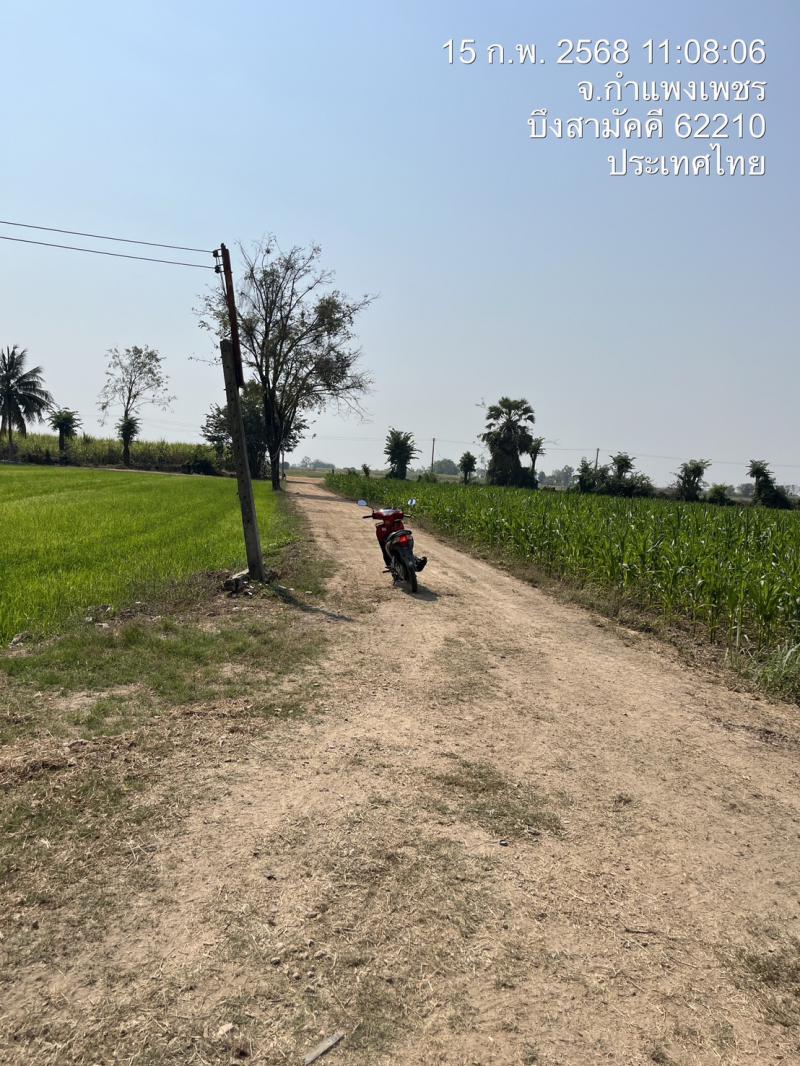 ที่ดิน 120000 กำแพงเพชร กิ่งอำเภอบึงสามัคคี บึงสามัคคี