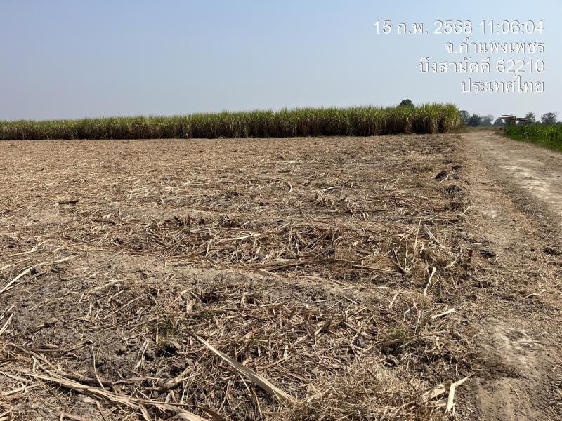 ที่ดิน 120000 กำแพงเพชร กิ่งอำเภอบึงสามัคคี บึงสามัคคี