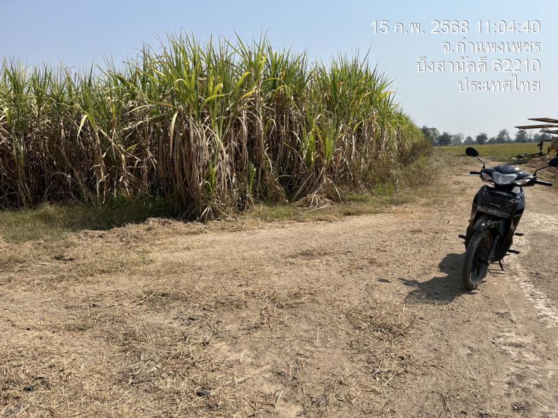 ที่ดิน 120000 กำแพงเพชร กิ่งอำเภอบึงสามัคคี บึงสามัคคี