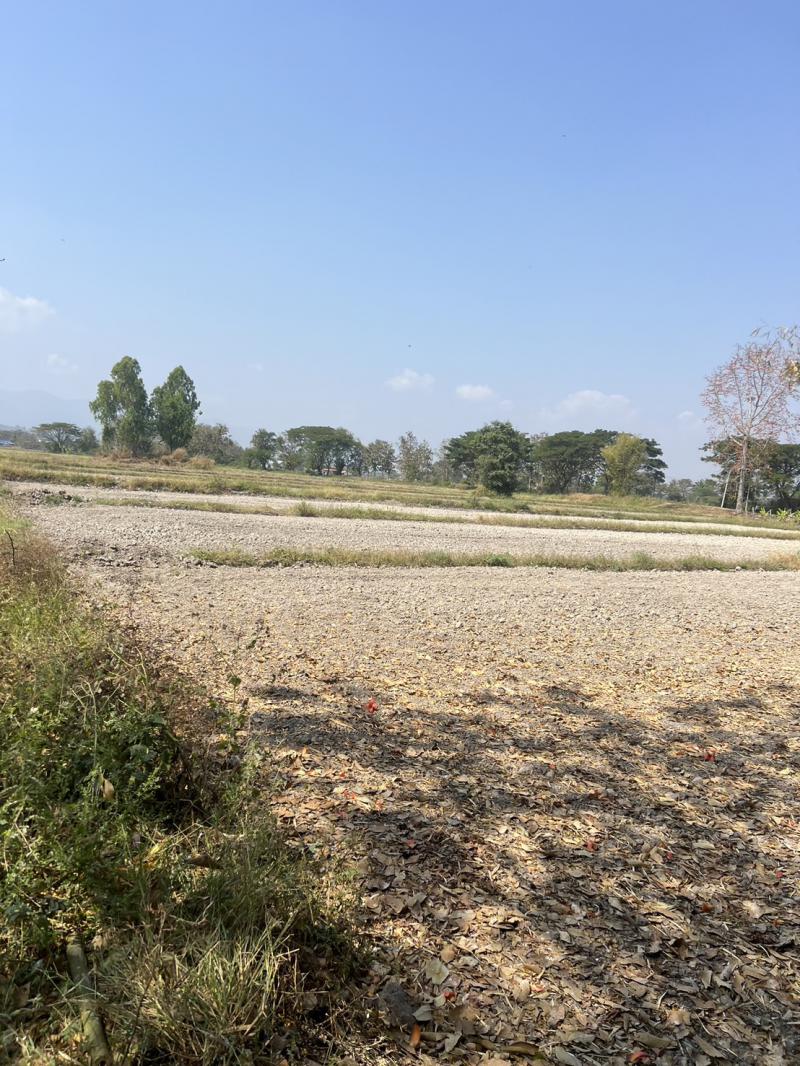 ที่ดิน 3300000 พะเยา เมืองพะเยา สันป่าม่วง