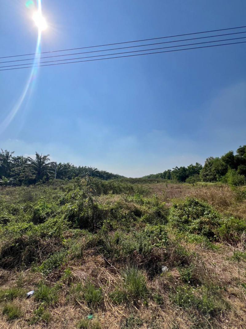 ที่ดิน 750000 ปทุมธานี หนองเสือ หนองสามวัง