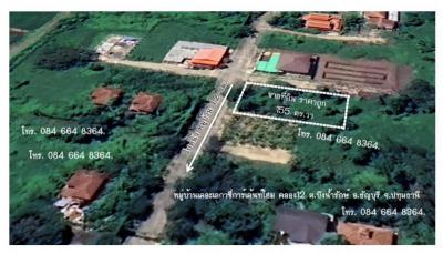 ที่ดิน 1240000 ปทุมธานี ธัญบุรี บึงน้ำรักษ์