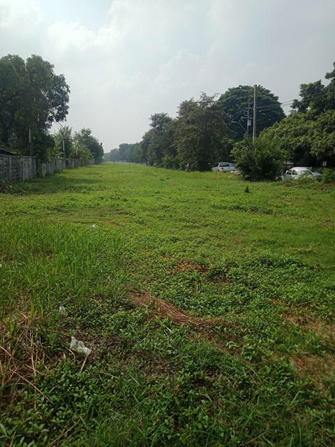 ที่ดิน 11000000 กรุงเทพมหานคร เขตสะพานสูง สะพานสูง