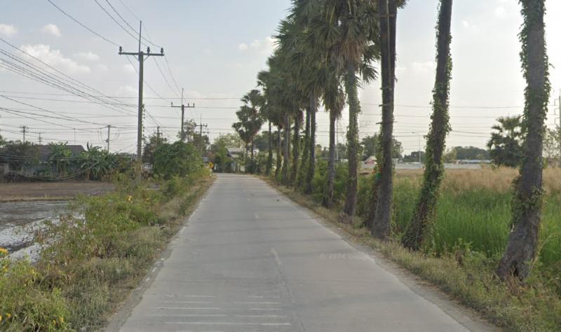ที่ดิน 199999995 ปทุมธานี สามโคก บางเตย